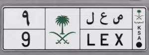 لوحة لكزس مميزة للبيع