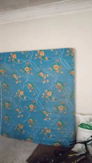 فرشه طغط مجوز