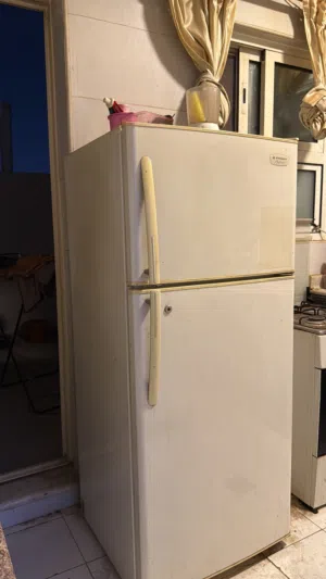 Kelvinator Platinum Refrigerator
