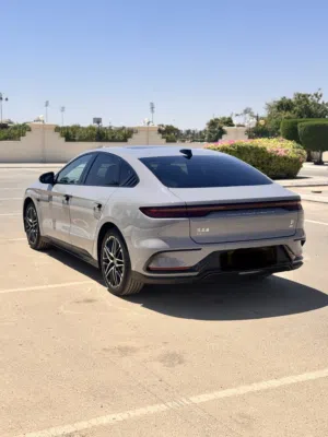 للبيع BYD (HAN)