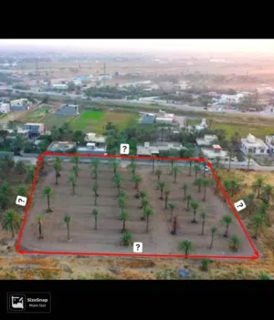 قطعة ارض 600 متر في البوعيثة قرب البانزيخانة سند 25 واجها 18 خدمات كاملة قرب الشارع العام