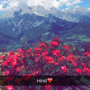 hindalenizy 