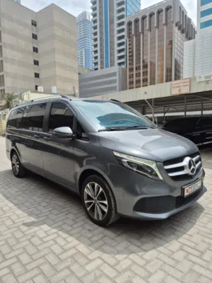 2022 Mercedes Benz V Class V250, Gray Color
