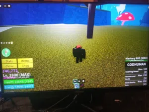 حساب بلوكس فروت اسطوري  بس ب 5
