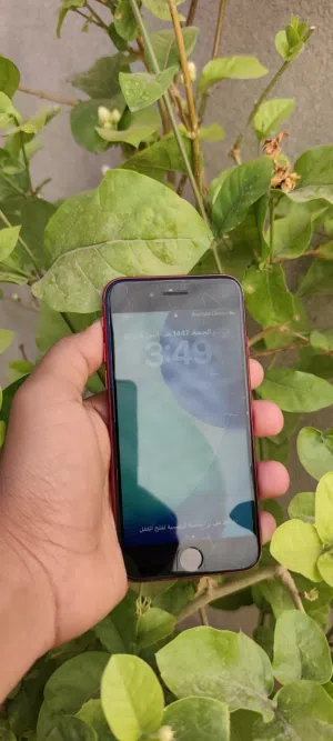 Apple iPhone SE 2 64 GB in Benghazi
