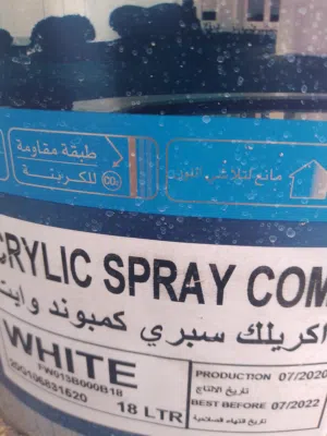 أصباغ خاصه للمنازل