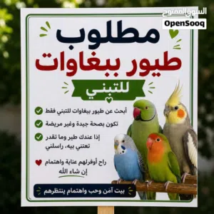 طيور بغبغاء