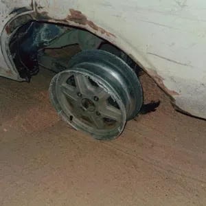 نمر عايد 
