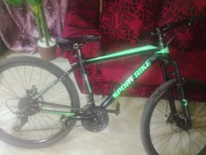 بسكليت اوروبي