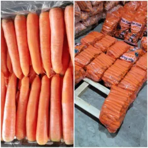 ‏خضار وفواكه‏4