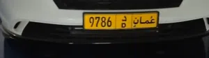 لوحة 9786 D