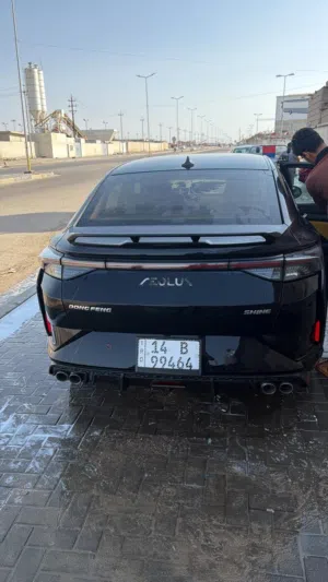 دونك فينك ،2024