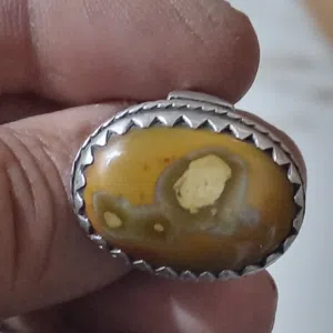 ابوعلي التميمي