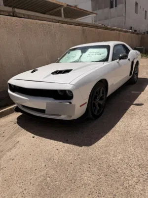 Used Dodge Challenger in Baghdad
