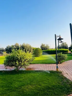 مزرعة للبيع هكتار سوبر لوكس متكاملة ## مواصفات المزرعة - *الموقع*: بين بوهادي والكويفية، منطقة ا