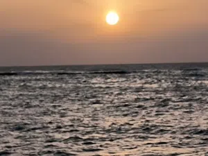 عبد الرحمن 