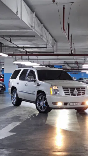 Used Cadillac Escalade in Amman
