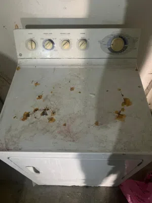 حماصة دراي كلين