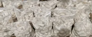 حجر زينة لتنسيق ورسم الحدائق