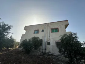 المزرعه السعيده