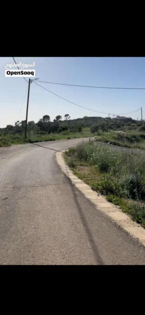 قطعة ارض في قرية صير