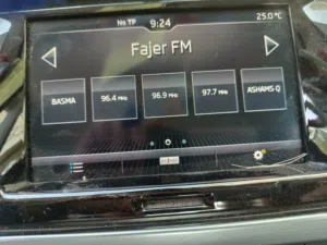 Used Skoda Fabia in Tulkarm