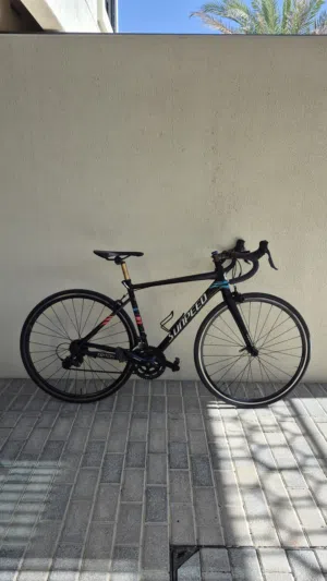 Sunpeed Triton Roadbike (سيكل سباق)