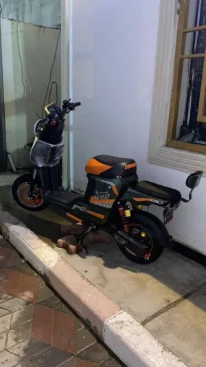 للببع x900