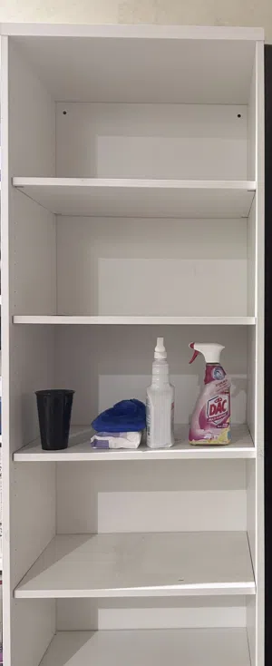 bookshelf from Ikea