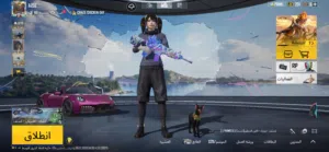 حساب ببجي للبيع