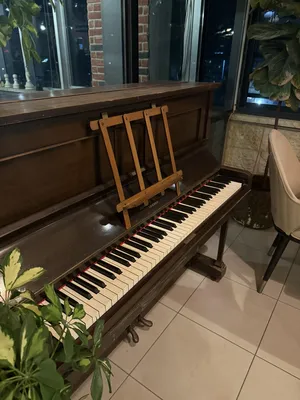 Piano & Keyboards . Used3