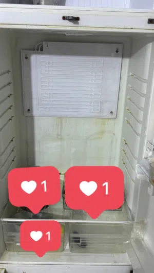 مستخدمه الثلاجه