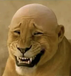 مطلوب كرت شاشه عاطل او مدابورت عاطلة او باور عاطل اعرض