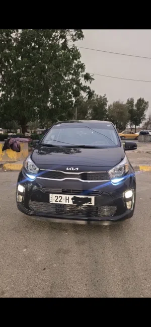بيكانتو 2023 سغر مناسب