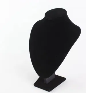 ستاند سناسيل