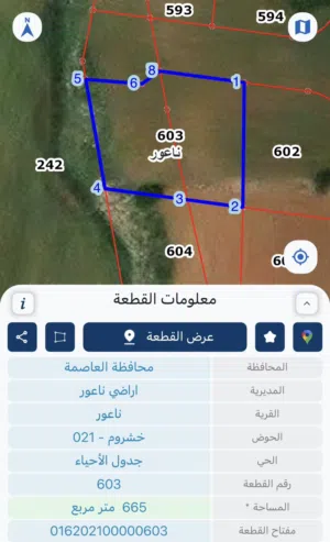 Residential Land for Sale in Amman Naour