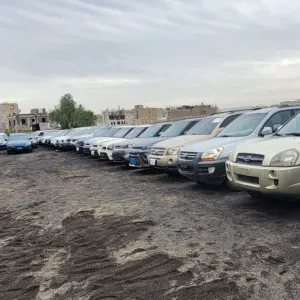 طه علي الغمري