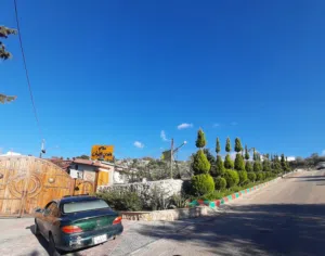 قطعة أرض 15دونم بجانب مطعم وادي الضباب السياحي(اربد-المزار الشمالي)