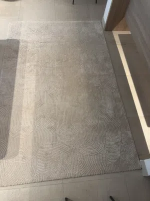 160*230 rug