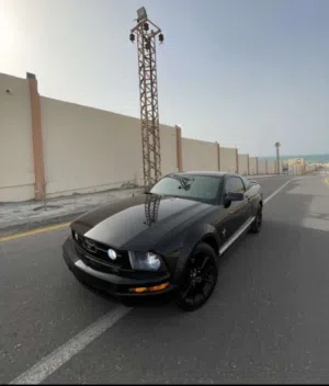 موستانج ربي يبارك تسجيل حديث