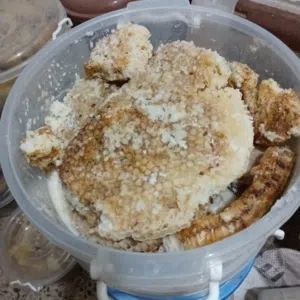عسل جبلي عضوي درجه ممتازه