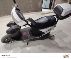 دراجه فراشة نثية