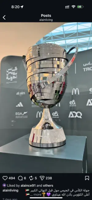 I have 4 tickets for the President's Cup final and the Al Ain vs. Al Jazira match for sale .