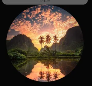 مرتضى 