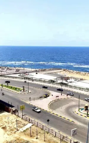 100 m2 2 Bedrooms Apartments for Rent in Alexandria Miami