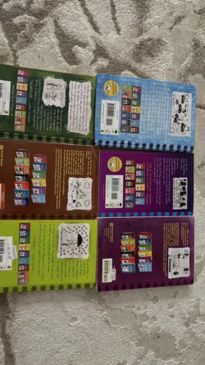 Diary of a Wimpy kid(excellent condition)