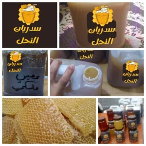 سدريات النحل( عسل يمني فاخر )