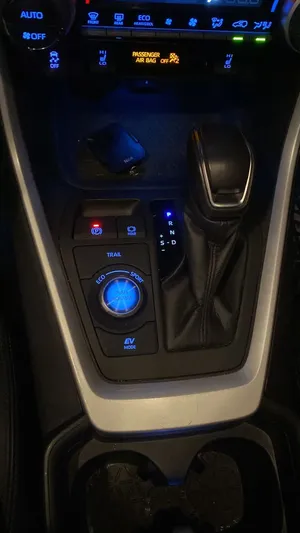 Toyota . RAV 4 . 20224