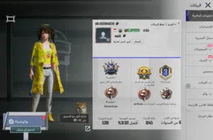 حساب ببجي للبيع
