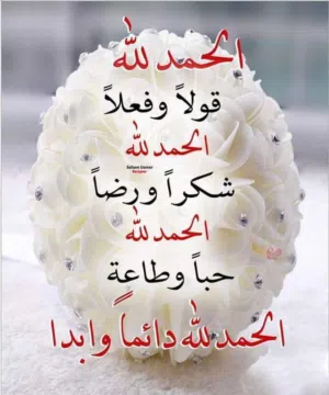 هيثم صابر محمد 